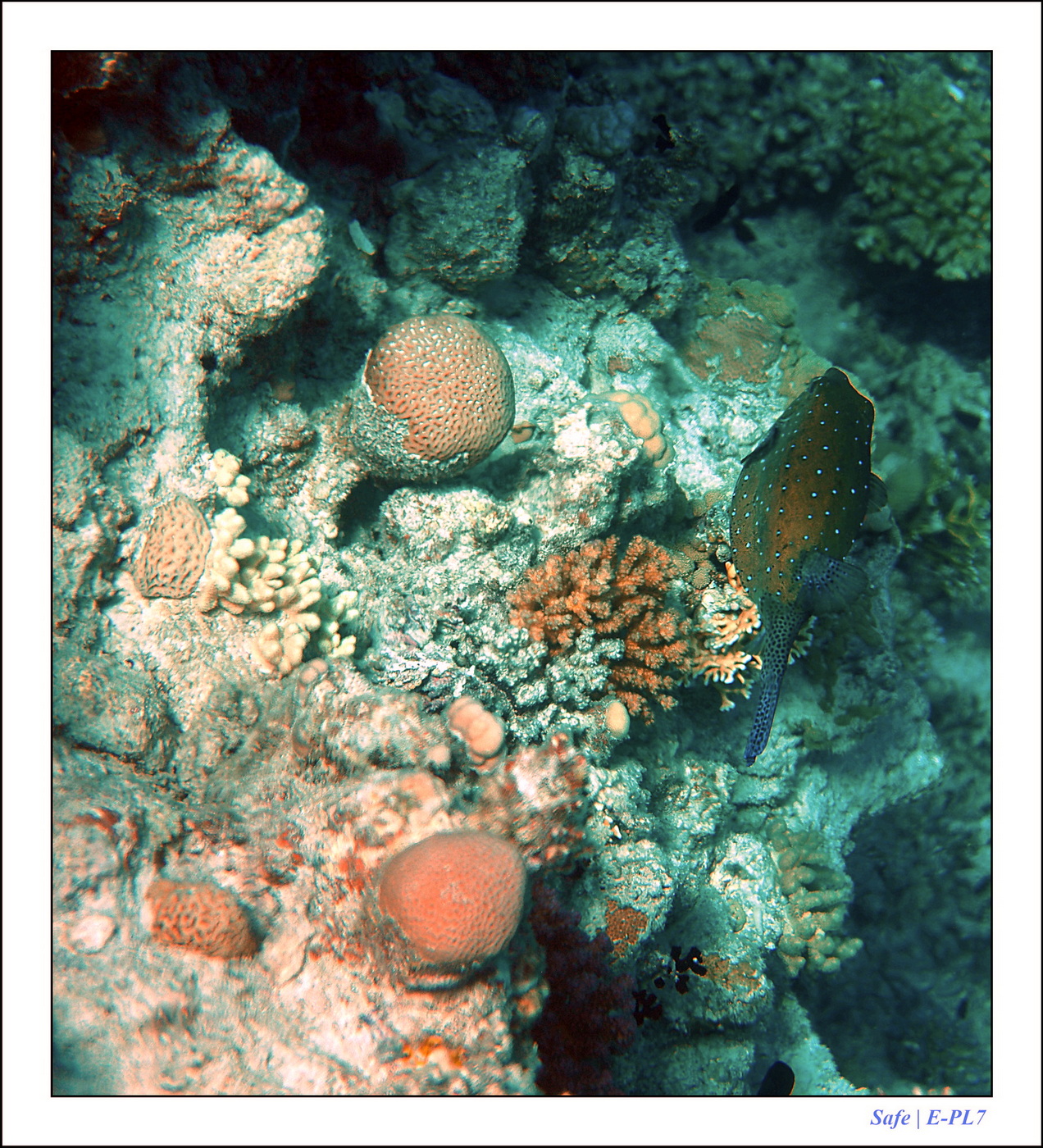 Hurghada - Juillet 2021 - 024